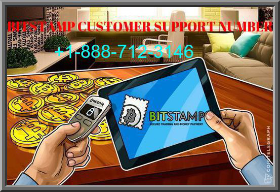 bitstamp customer service